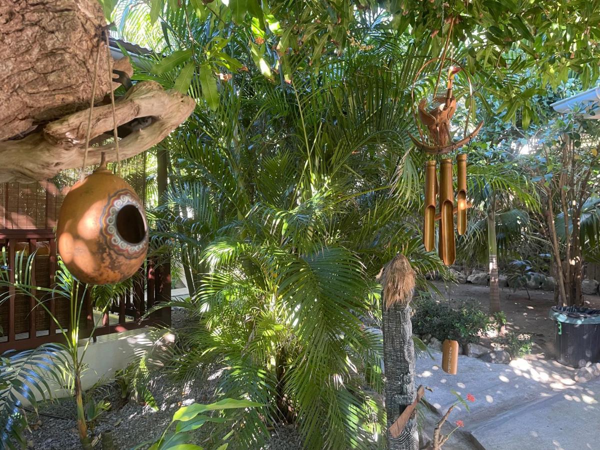 Les Hamacs Aux Saintes Hotel Terre-De-Haut Ngoại thất bức ảnh