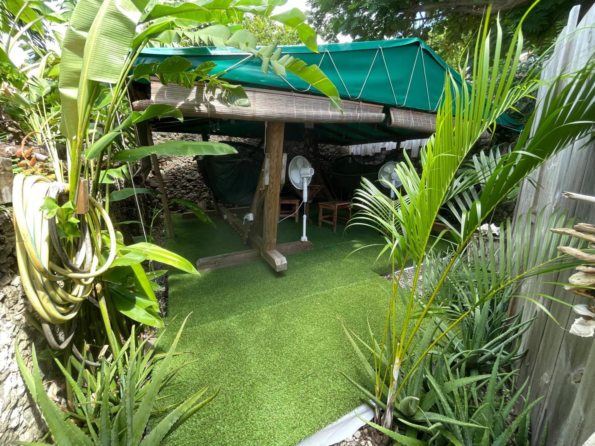 Les Hamacs Aux Saintes Hotel Terre-De-Haut Ngoại thất bức ảnh